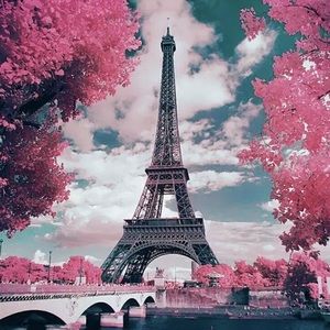 Meet your Posher, Morgan